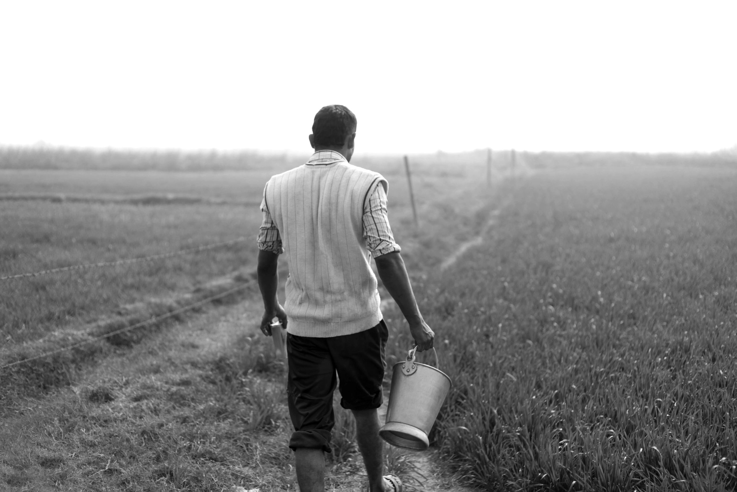 Farmer standing in agricultural field